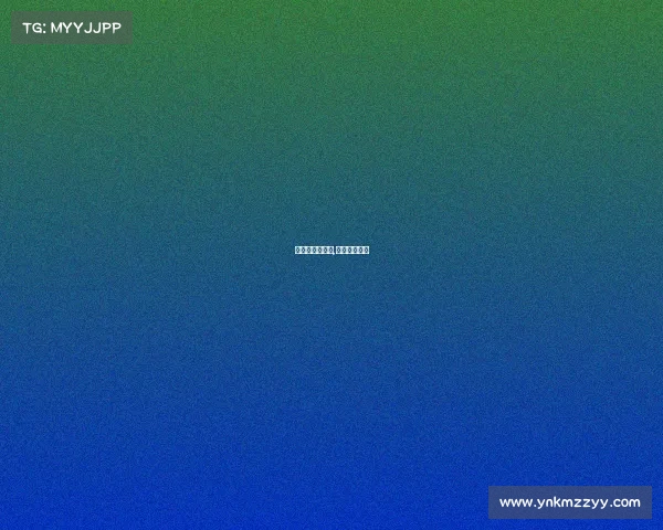 拳击的赛事组织,拳击比赛组织